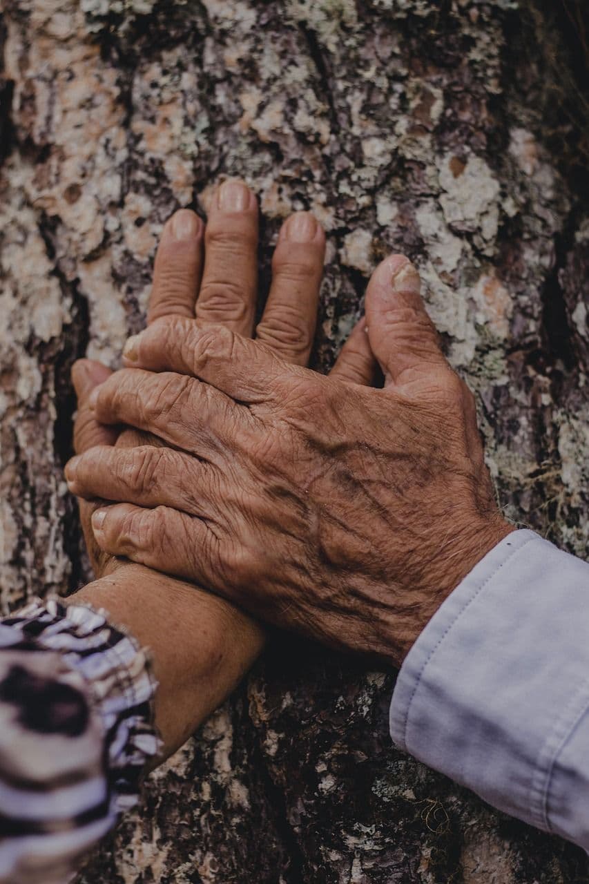 two hands holding each other on a tree trunk